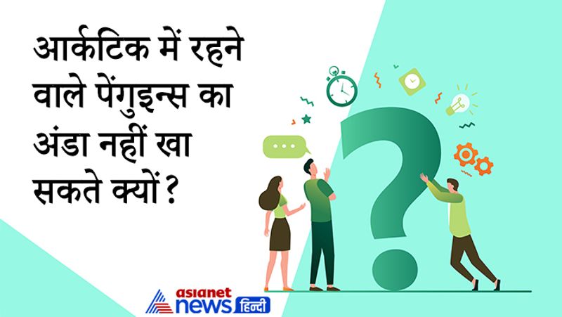 सवाल- आर्कटिक में रहने वाले पेंगुइन्स का अंडा नहीं खा सकते क्यों?
जवाब- आर्कटिक में पेंगुइन्स नहीं पाए जाते हैं। वो अंटार्रटिका में पाए जाते हैं।
