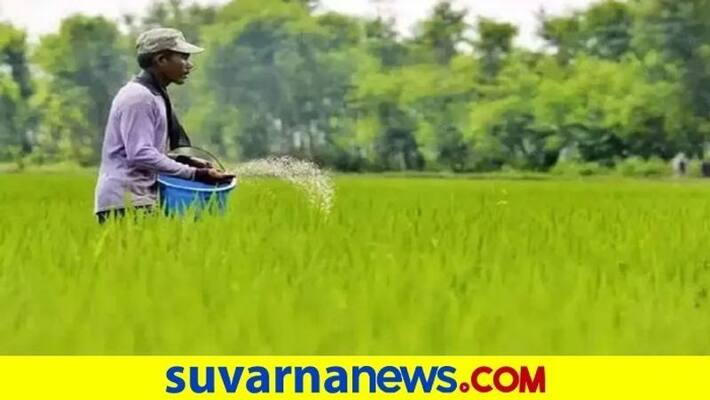 Cabinet approves Rs 28655 crore fertilizer subsidy for rabi season pod Cabinet approves Rs 28655 crore fertilizer subsidy for rabi season pod