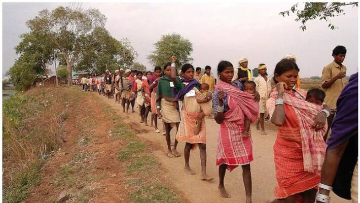 tribal groups test Covid positive in Odisha tribal groups test Covid positive in Odisha