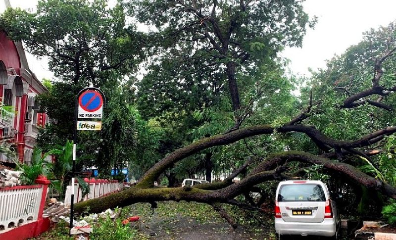 Rakhi Sawant upset about Cyclone Tauktae taking away natural oxygen from us, also her newly-constructed roof  RCB