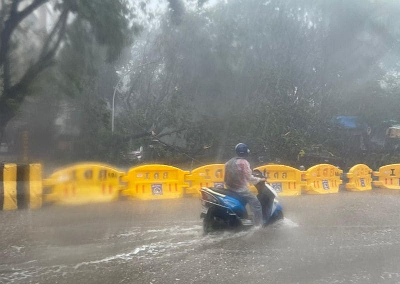 In Mumbai, gusty winds will continue and escalate up to 120kmph. Media reports said the wind speed recorded at 2 pm at Colaba was 112 kmph.
High-speed winds and heavy rains lashed Mumbai and its neighbouring areas. Trees were uprooted in many areas, and local train services were disrupted.
Because of the strong winds, the Bandra-Worli sea-link was closed for traffic and people were asked to take alternate routes.