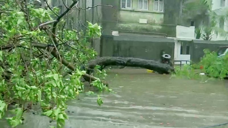 गुजरात में 23 साल में सबसे विनाशकारी तूफान
भारत के मौसम विभाग ने कहा कि तौकता, लगभग 23 सालों में गुजरात में आने वाला सबसे विनाशकारी तूफान गुजरात के तट से टकराया और ये मंगलवार को लगभग 12 बजे तक समाप्त हो गया। 