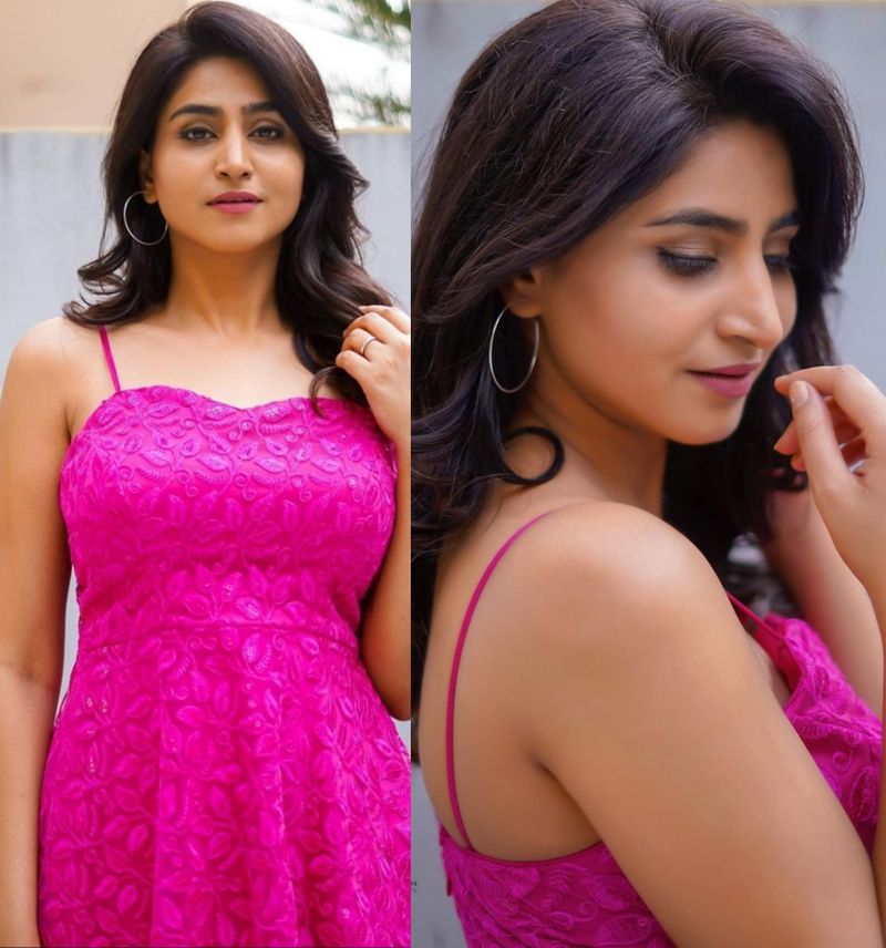 మోడల్ గా కెరీర్ ప్రారంభించిన వర్షిణి కొన్ని చిత్రాలలో హీరోయిన్ కూడా నటించారు. అలాగే మరికొన్ని సినిమాలలో చిన్న చిన్న పాత్రలు చేయడం జరిగింది. వెండితెరపై బ్రేక్ రాకపోవడంతో రష్మీ మాదిరి బుల్లితెరను ఎంచుకుంది.
