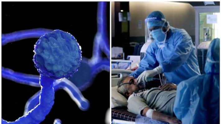 Health Minister says India reports 5424 black fungus cases Health Minister says India reports 5424 black fungus cases