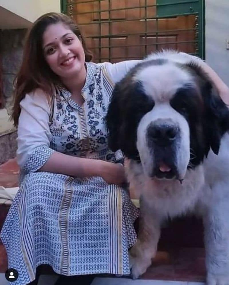 'ನನ್ನ ಬೆಸ್ಟ್ ಫ್ರೆಂಡ್ ಬ್ರೂನೋ ಇಂದು ಕೊನೆ ಉಸಿರೆಳೆದಿದ್ದಾನೆ. ಜೂನಿಯರ್ ಚಿರು ಅವನ ಜೊತೆ ಆಟವಾಡಬೇಕು ಎಂಬ ಆಸೆ ನನಗಿತ್ತು.'