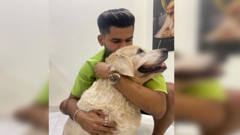 डॉगी को किस करते फोटो शेयर की
दिल्ली कैपिटल्स के कप्तान और भारतीय टीम के खिलाड़ी श्रेयस अय्यर एक पेट्स लवर हैं। जब भी उन्हें मौका मिलता है, वह अपने डॉगी के साथ टाइम स्पेंड करते हैं। हाल ही में उन्होंने अपने पालतू लैब्राडोर को किस करती अपनी फोटो शेयर की है और लिखा- मेरा पोम पोम।