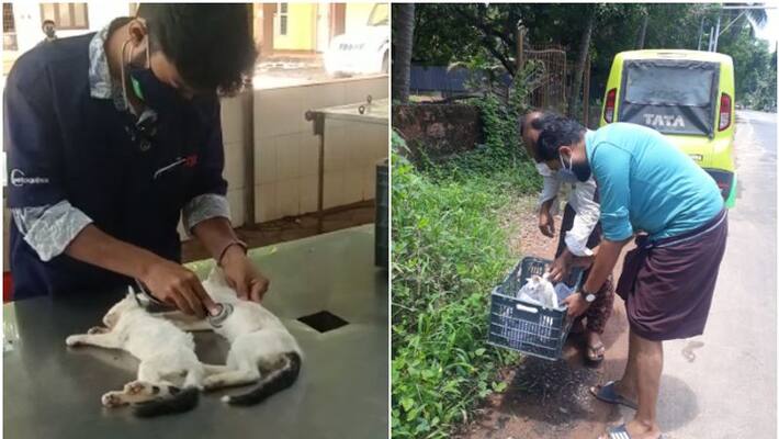 Cruelty of throwing kittens to the road from a running car in kozhikode Cruelty of throwing kittens to the road from a running car in kozhikode