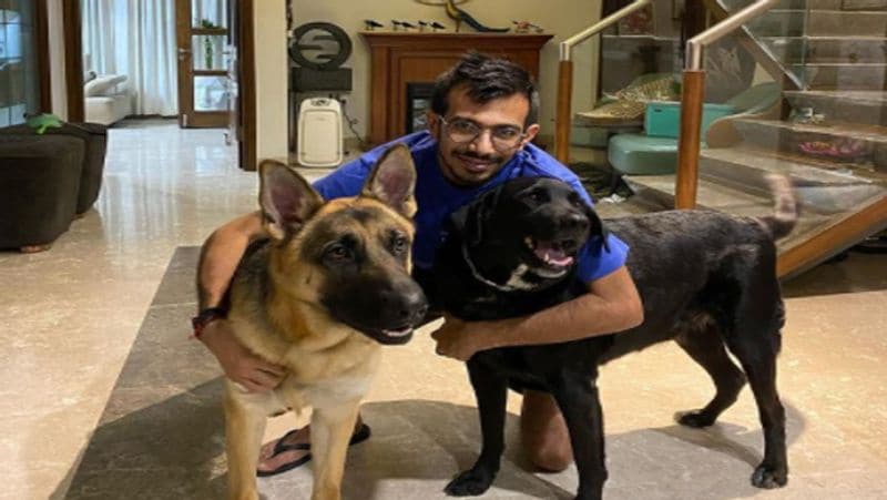 फ्लॉप रहा चहल के IPL का ये सीजन
आईपीएल के 14वें सीजन में युजवेंद्र चहल को रॉयल चैलेंजर्स बेंगलुरु के लिए एक्शन में देखा गया था। चहल ने इस सीजन आठ मैचों में केवल चार विकेट अपने नाम किए थे। हालांकि उनकी टीम 7 में से 5 मैच जीतकर प्वाइंट्स टेबल में तीसरे नंबर पर है। 