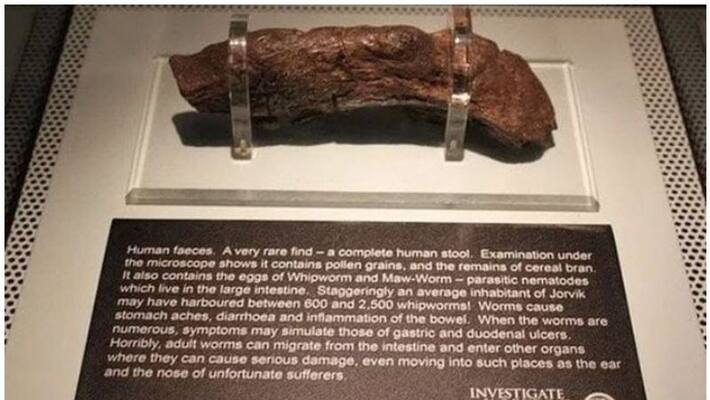UK Museum displays Worlds largest known human poop which is 20 CM long UK Museum displays Worlds largest known human poop which is 20 CM long