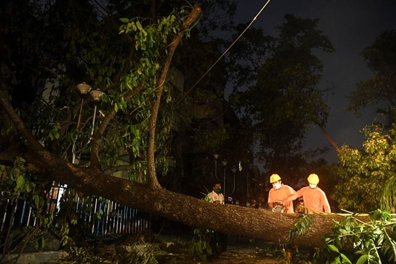 রাতেই গাছ কেটে রাস্তা সাফ করা এবং হতাহতদের উদ্ধারের কাজে নেমেছিল জাতীয় বিপর্যয় মোকাবিলা বাহিনী।