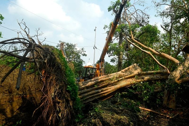 দক্ষিণবঙ্গ জুড়ে উপড়ে গিয়েছিল অংশ গাছ।যার জেরে বিচ্ছিন্ন হয়ে গিয়েছিল বহু জায়গায় যোগাযোগ।
