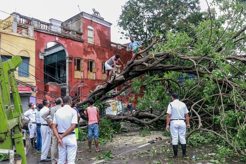 রেহাই পায়নি শহর কলকাতাও। কলতারা বুকে উপরে যাওয়া গাছ সরাতে লেগে গিয়েছিল পরের বেশ কয়েকটা দিন।