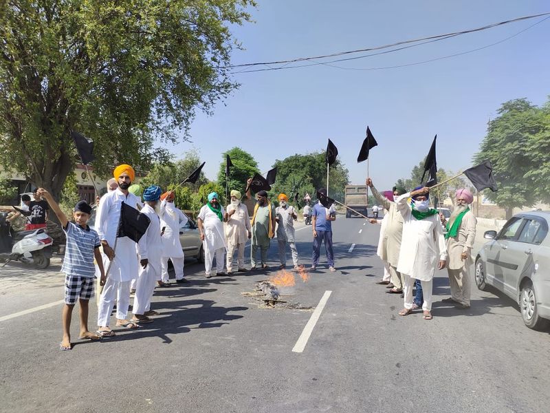farmers protesters burning Modi governmens coffin