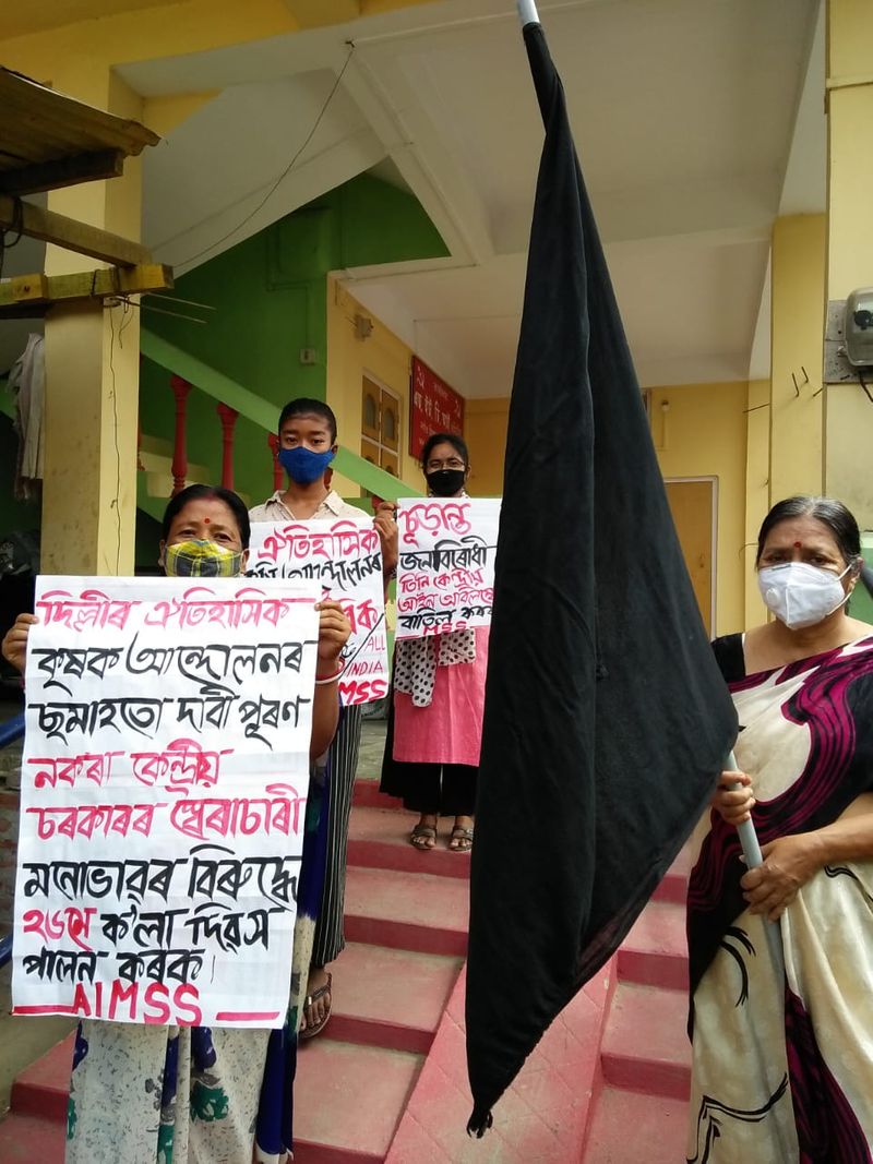 farmers protesters burning Modi governmens coffin