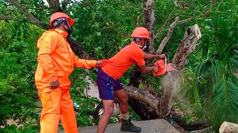 ഈ ജില്ലകളിൽ ഒറ്റപ്പെട്ട സ്ഥലങ്ങളിൽ മണിക്കൂറിൽ 40 കിലോമീറ്റർ വരെ വേഗതയിൽ വീശിയടിച്ചേക്കാവുന്ന കാറ്റിനും ഇടിമിന്നലോട് കൂടിയ മഴയ്ക്കും സാധ്യതയുണ്ടെന്നാണ് കേന്ദ്ര കാലാവസ്ഥ വകുപ്പ് അറിയിച്ചു. 