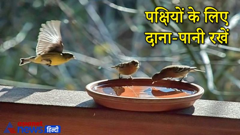 पक्षियों के लिए दाना-पानी रखें
घर के बाहर या छत में पक्षियों के लिए दाना-पानी रखना चाहिए। इस माह में नदी-तालाब सूखने लगते हैं जिस वजह से पक्षियों को पानी नहीं मिल पाता है, इसलिए घर के बाहर या छत पर पक्षियों के लिए दाना-पानी अवश्य रखें। धार्मिक मान्यताओं के अनुसार पक्षियों को दाना-पानी देना शुभ माना जाता है।
