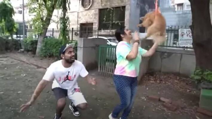 Delhi YouTuber arrested for flying their pet dog using Hydrogen Balloons in video dva Delhi YouTuber arrested for flying their pet dog using Hydrogen Balloons in video dva