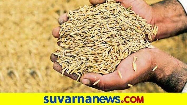 Farmers demand For Support price to Paddy in Mysuru snr Farmers demand For Support price to Paddy in Mysuru snr
