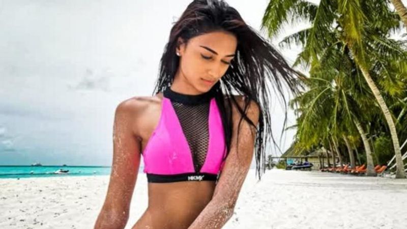 एक्टिंग और सिंगिग के अलावा एरिका एक अच्छी डांसर भी है। उन्होंने मशहूर कोरियोग्राफर श्यामक डावर से डांस सीखा है। वे एक फेमस यू-ट्यूबर भी है। उनके यू-ट्यूब पर 10 लाख सब्स्क्राइबर है। 