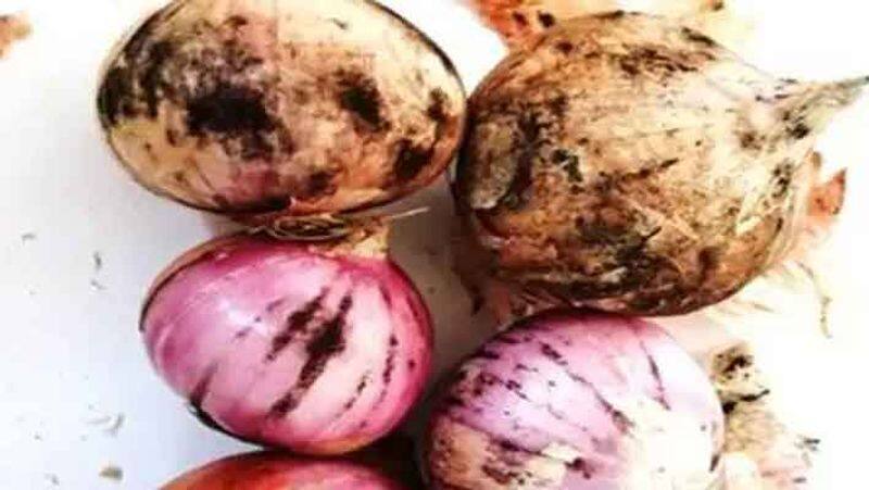 Can onions spread the black fungus virus?  Delhi AIIMS