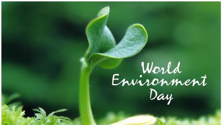 competitions for students in environment day competitions for students in environment day