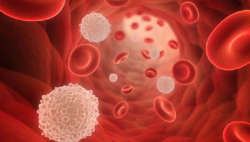 blood cancer types and its main symptoms