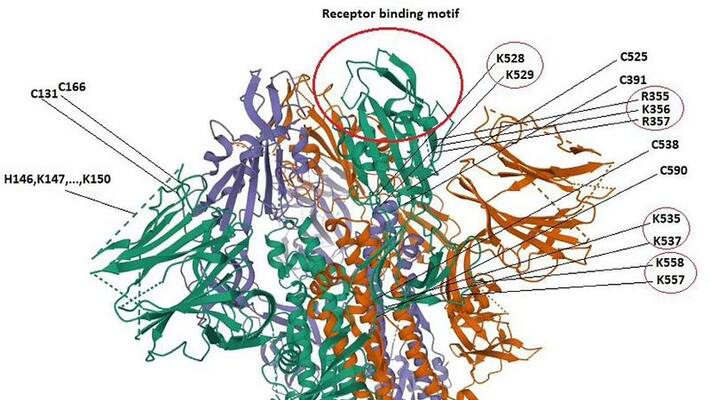 Two Scientists claims that Corona virus is lab made, US also involve in funding in Gain of function project DHA Two Scientists claims that Corona virus is lab made, US also involve in funding in Gain of function project DHA