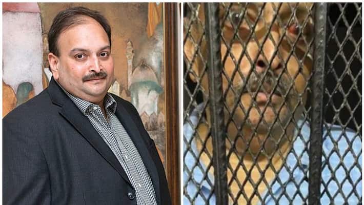 Mehul Choksi Has To Be Deported To India, Dominica Government Mehul Choksi Has To Be Deported To India, Dominica Government