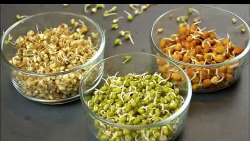 10 foods that fight for pimple and acne, must include in daily routine dva