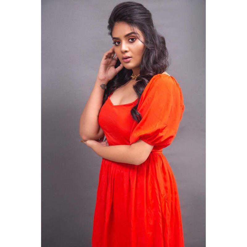 అలా టీవీ షోలు, సినిమాలు, ప్రొమోషన్స్ ద్వారా శ్రీముఖి మంచిగా ఆర్జిస్తున్నారు. కరోనా కారణంగా పబ్లిక్, ప్రైవేట్ ఈవెంట్స్ లేకుండా పోయాయి. లేకుంటే శ్రీముఖి ఆదాయం మరింత ఎక్కువగా ఉండేది. అయినా కూడా అందుబాటులో ఉన్న మార్గాలను వాడుకుంటూ శ్రీముఖి భారీగా సంపాదిస్తున్నారు.