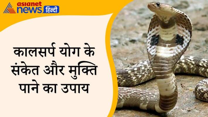 Rahu Ketu is a sin planet, due to these two Kalsarp Dosh is formed in the horoscope, know the special things related to it KPI Rahu Ketu is a sin planet, due to these two Kalsarp Dosh is formed in the horoscope, know the special things related to it KPI