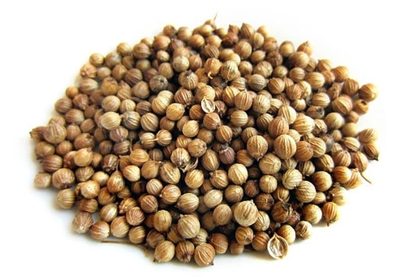 Coriander seeds are plump and brown in colour, have a hollow cavity which bears essential oils that lend to the flavour of the dishes when used in cooking. They are harvested when the plant turns brown and its leaves start to dry and fall. Immature seeds are light green in colour and taste quite bitter. Apart from being a popular spice in the kitchen, coriander seeds are also known for their medicinal properties.
