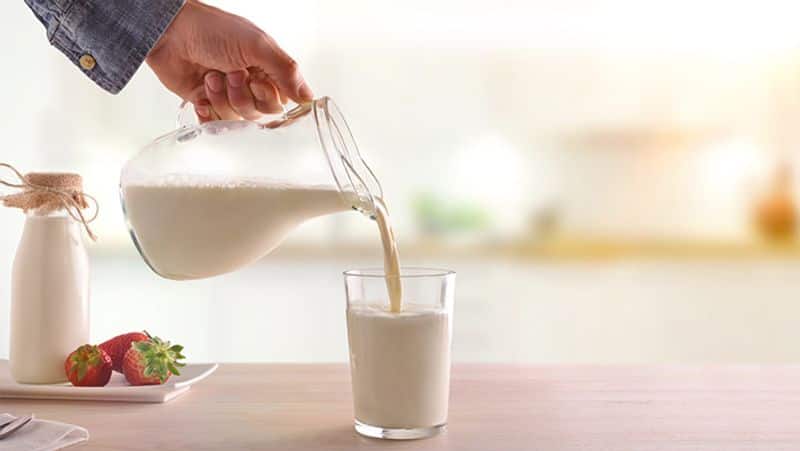 World Milk Day significance of milk