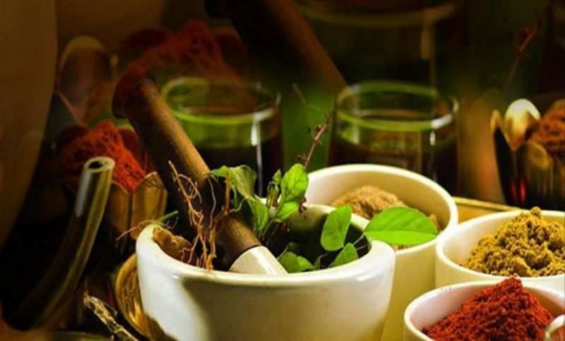 Ayurveda These are the herbs that have the power of navadurgas