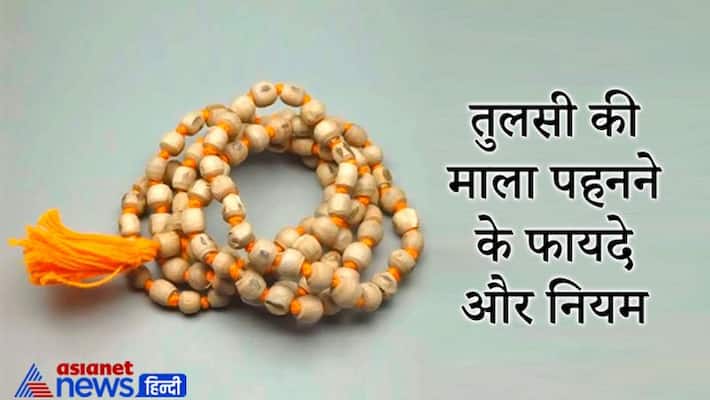 Wearing Tulsi Mala has many benefits, know the rules and special things related to it KPI Wearing Tulsi Mala has many benefits, know the rules and special things related to it KPI