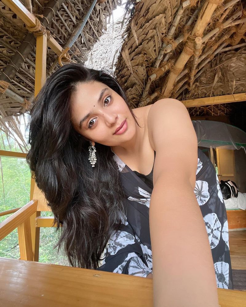 హోటల్స్, రిసార్ట్స్ లో వెకేషన్ కి సంబంధించిన వీడియోలు తన సోషల్ మీడియా అకౌంట్స్ లో పోస్ట్ చేయడం ద్వారా సదరు సంస్థల నుండి రెమ్యూనరేషన్ అందుకుంటున్నారు.