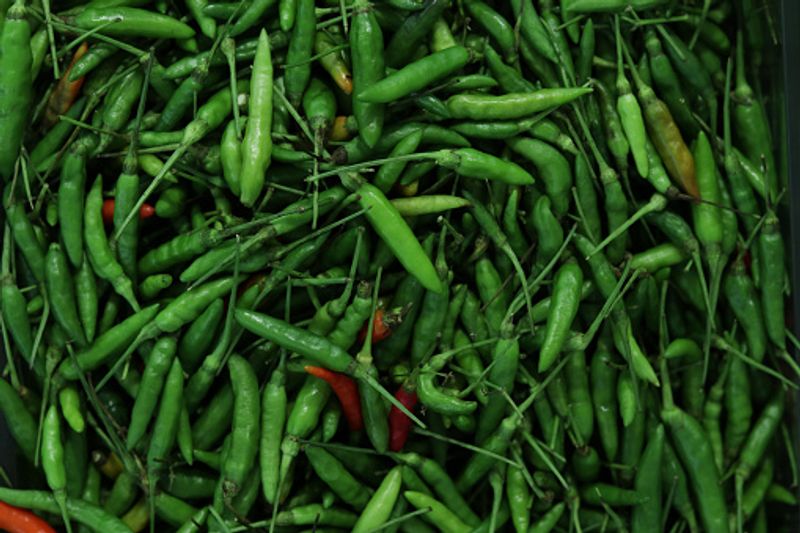 Green chilis could bring health if eaten in a proper way