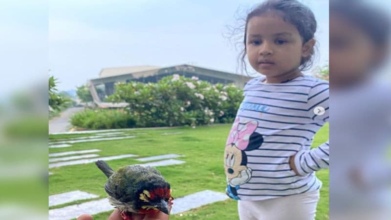 এছাড়াও রয়েছে সুবিশাল একটি বাগান। যেখানে ধোনি কখনও নিজের মেয়ে, কখনও আবার পোষ্যদের নিয়ে সময় কাটান।