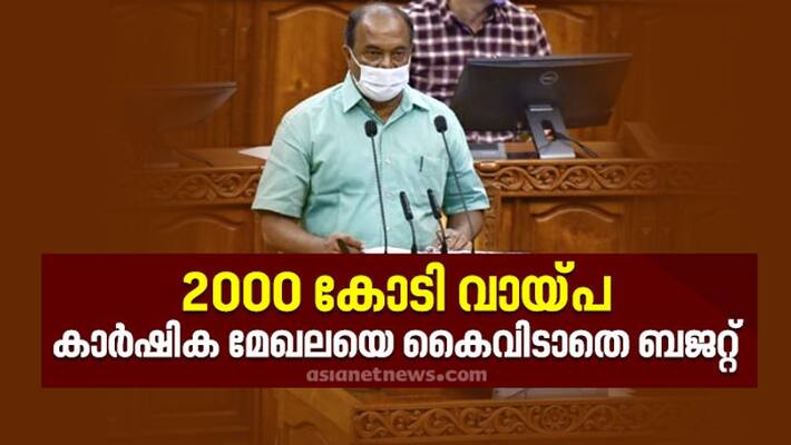 agriculture in kerala budget agriculture in kerala budget