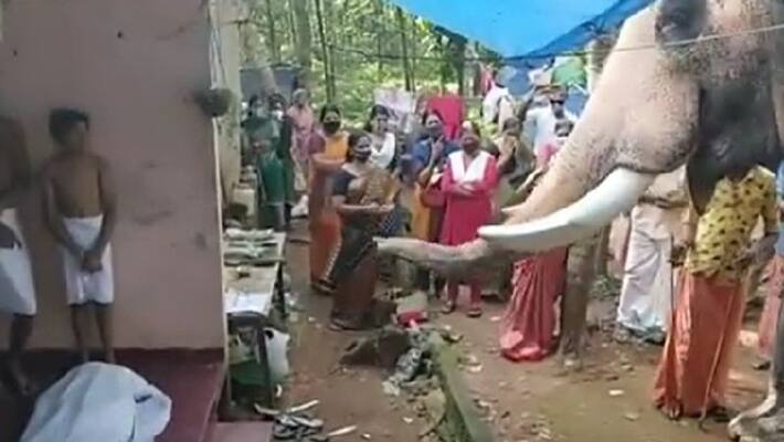 elephant pays last respects to mahout in kottayam elephant pays last respects to mahout in kottayam
