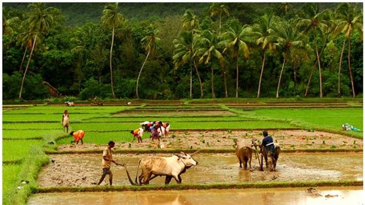 Applications were invited from rural researchers and technical students Applications were invited from rural researchers and technical students