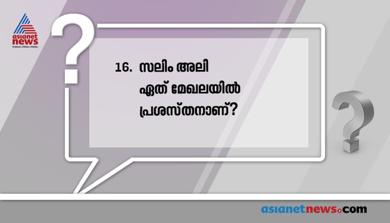 പക്ഷിനിരീക്ഷണം