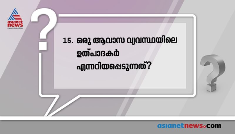 ഹരിത സസ്യങ്ങൾ