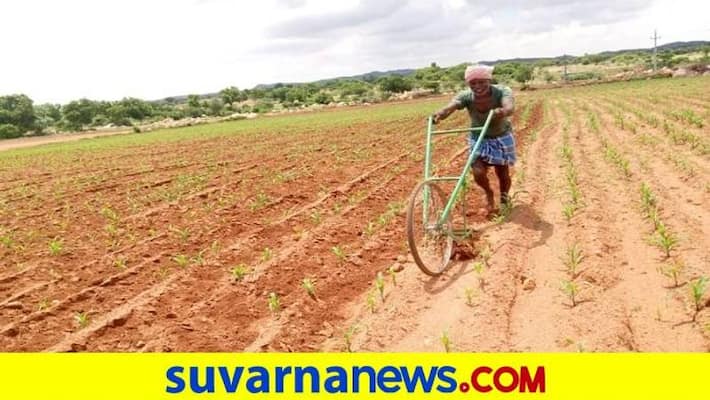 Farmers Faces Problems for Conditions for Zero Interest Loan in Karnataka grg Farmers Faces Problems for Conditions for Zero Interest Loan in Karnataka grg