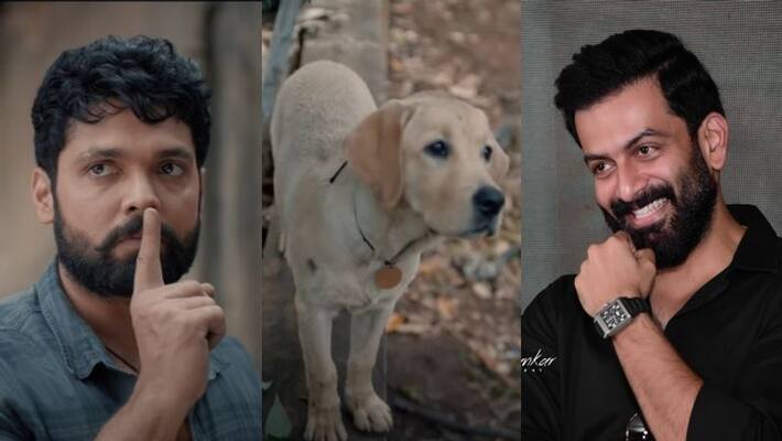 777Charlie Official Teaser Rakshit Shetty Prithviraj Productions 777Charlie Official Teaser Rakshit Shetty Prithviraj Productions