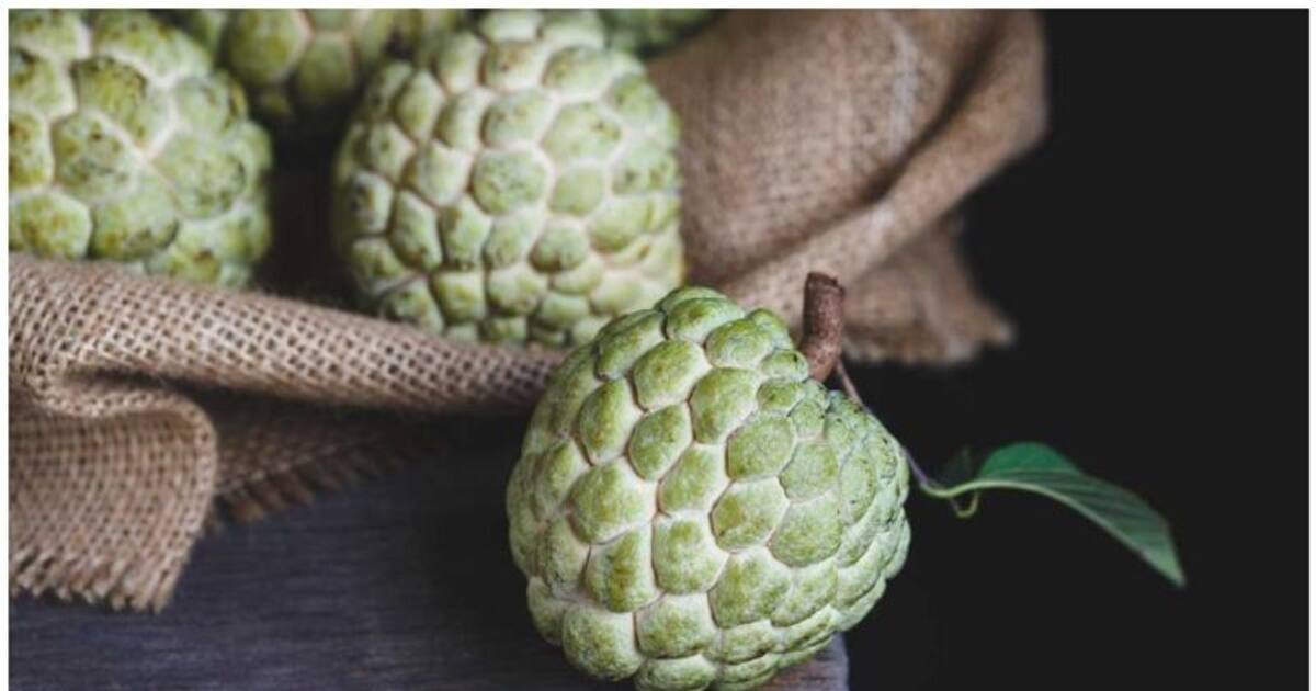ഗർഭകാലത്ത് സീതപ്പഴം കഴിക്കാമോ...? Custard Apple During Pregnancy