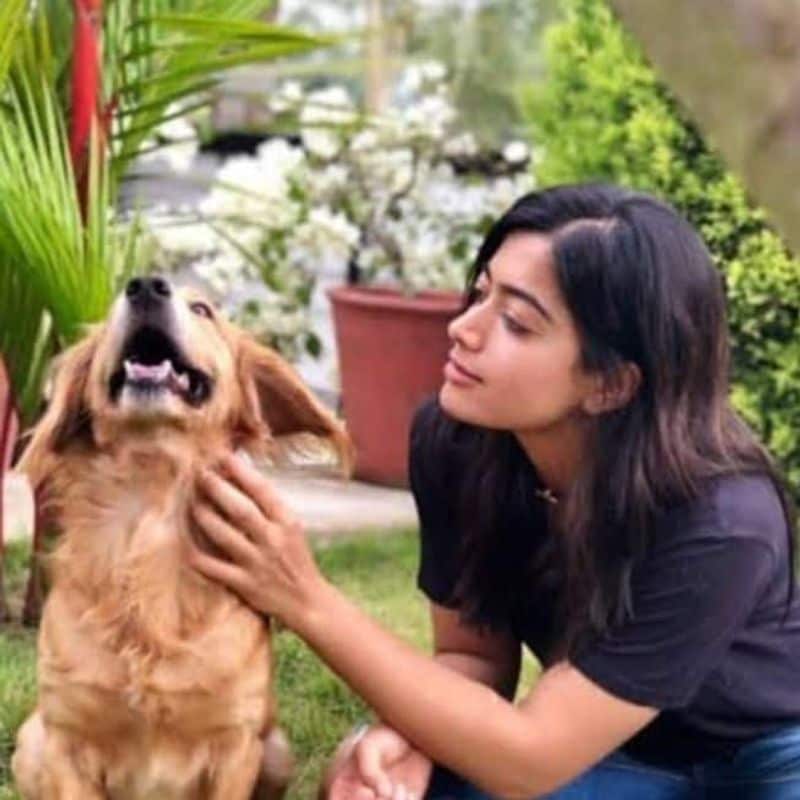 ಅಂತೂ ಮುಂದಿನ ದಿನಗಳಲ್ಲಿ ರಶ್ಮಿಕಾ ವಾಲ್ನಲ್ಲಿ Aura ತುಂಟಾಟ ನೋಡಬಹುದು