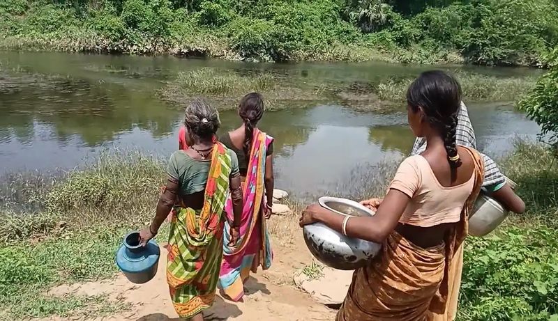 सबर बस्ती में दो जलमीनार बनाए गए, जिनमें से एक 6 माह से खराब है तो दूसरा पर्याप्त पानी नहीं दे पाता। लॉकडाउन में इन दिनों सबर बस्ती के लोगों के परिवार अपनी रोजी रोटी जंगल में पत्तल बनाकर जुटा रहे हैं।