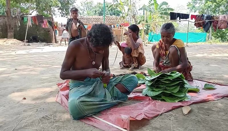 पत्तल बनाने का काम करने वाले मजदूरों का कहना है कि उन्हें एक पत्तल की कीमत 1 रुपया मिलती है। इस कार्य में घर की महिलाएं भी लगी रहती हैं। ऐसे में एक दिन में करीब 100 रुपए उन्हें मिल जाते हैं। 