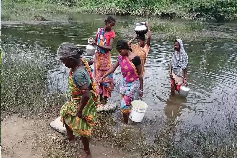 पूर्वी सिंहभूम के घाटशिला अनुमंडल में प्रखंड कार्यालय से करीब 30 किलोमीटर दूर घुटिया सबर बस्ती है। घुटिया सबर नाले के किनारे बसे इस गांव के लोग पानी का सारा काम इसी नाले से करते हैं। बताते हैं कि नहाने-धोने से लेकर पीने का पानी तक इसी नाले से लिया जाता है।